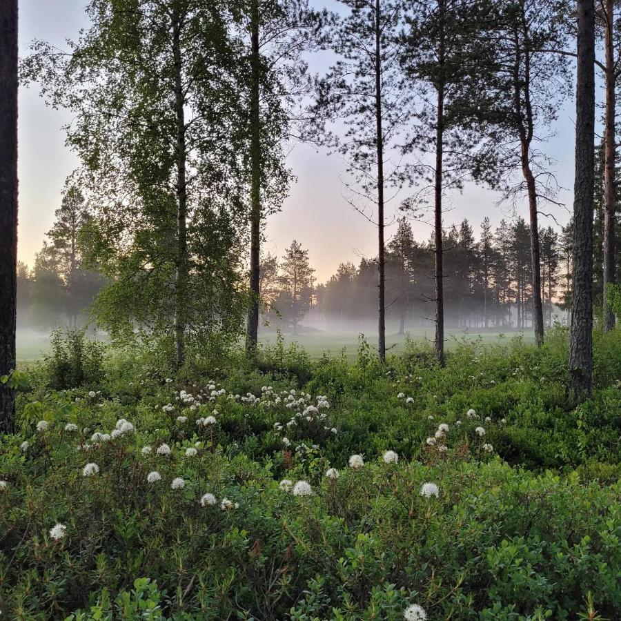 Siikavilla, Siikajoki エクステリア 写真