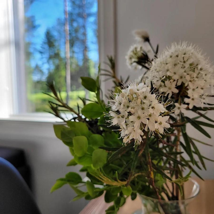 Siikavilla, Siikajoki エクステリア 写真